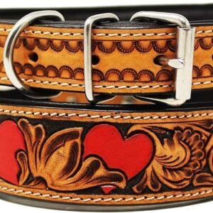 Dog Collar (01)