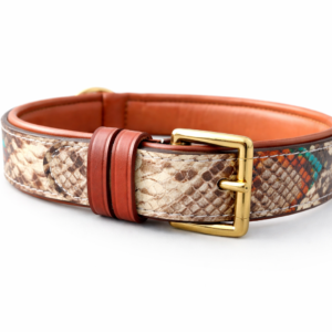 Dog Collar