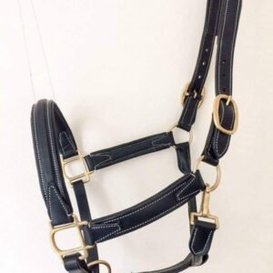 Leather Halters (05)